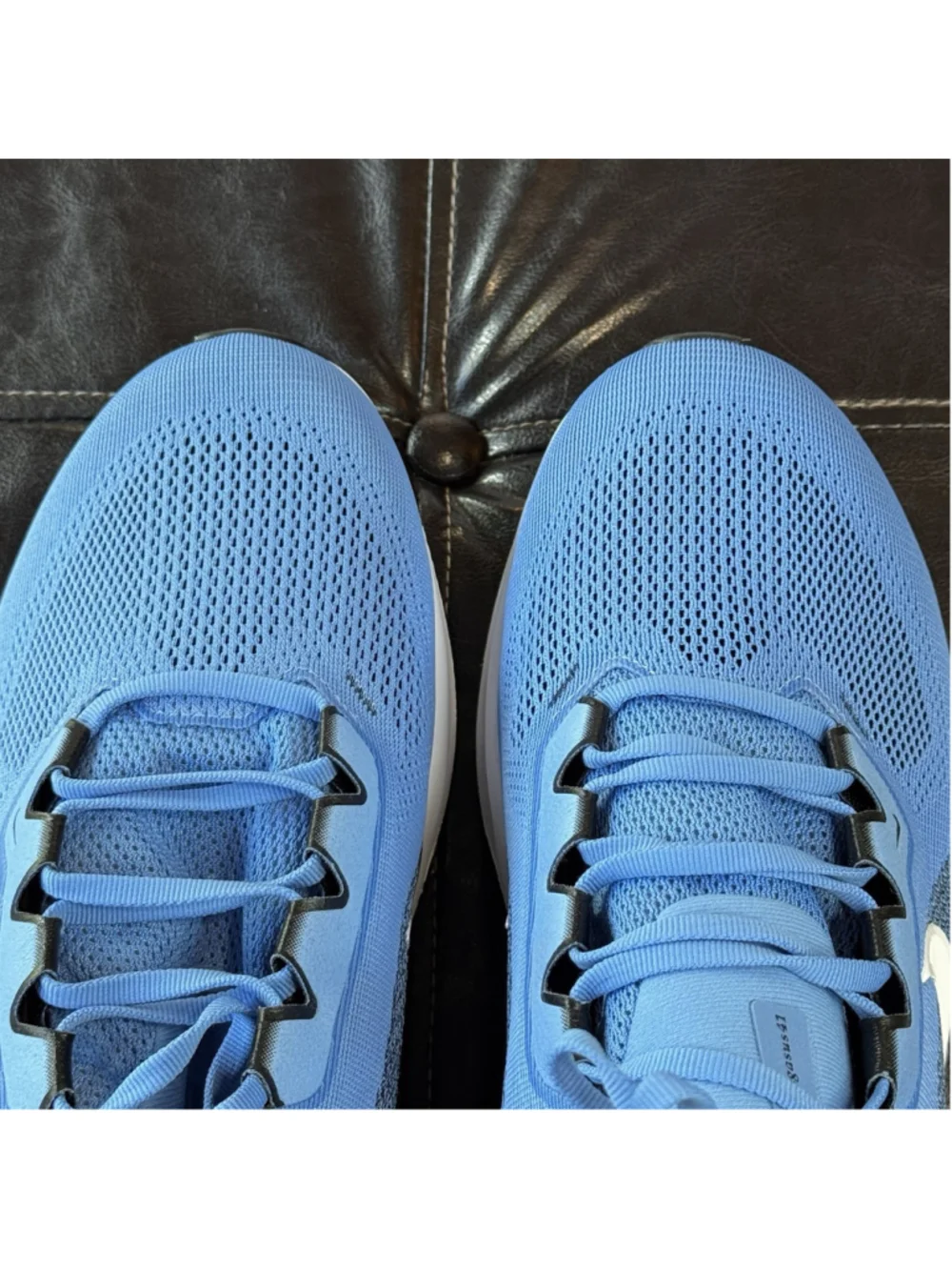 Nike nwt air